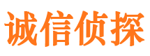 武邑外遇出轨调查取证